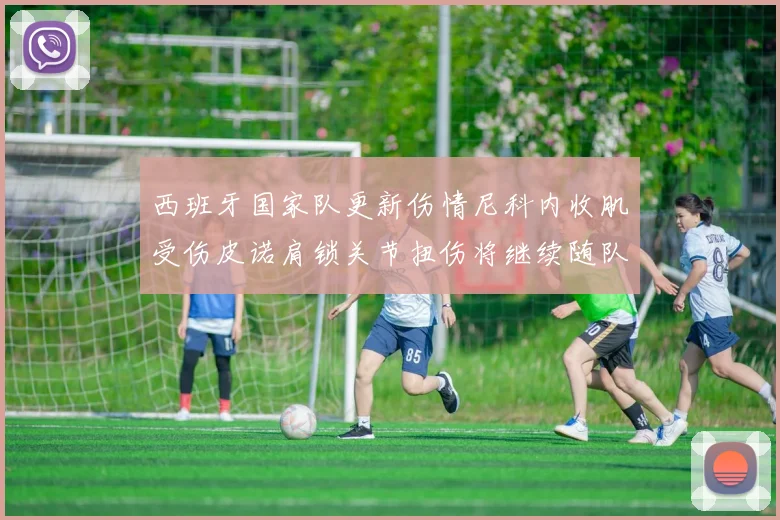 西班牙国家队更新伤情尼科内收肌受伤皮诺肩锁关节扭伤将继续随队训练